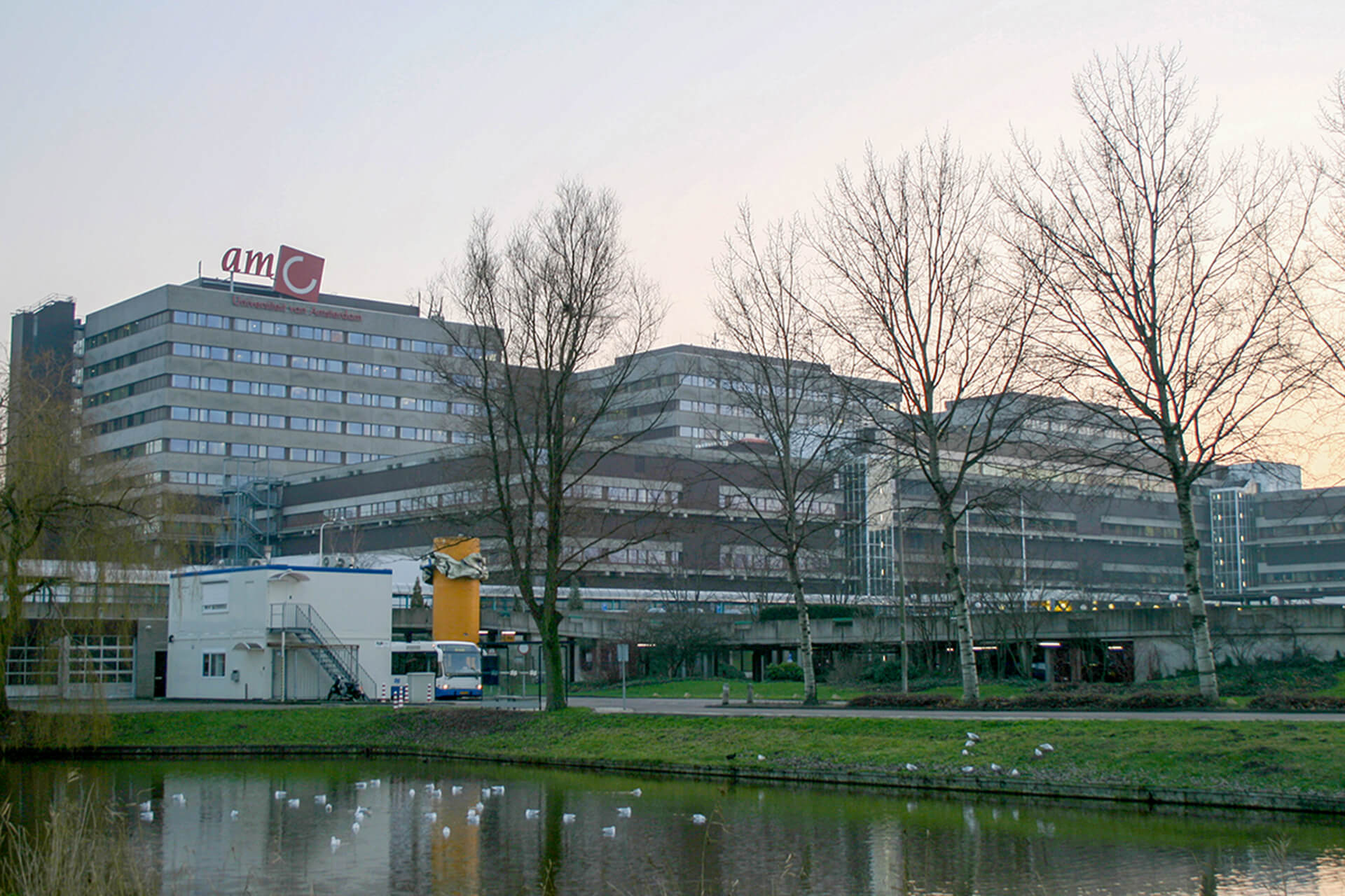 AMC